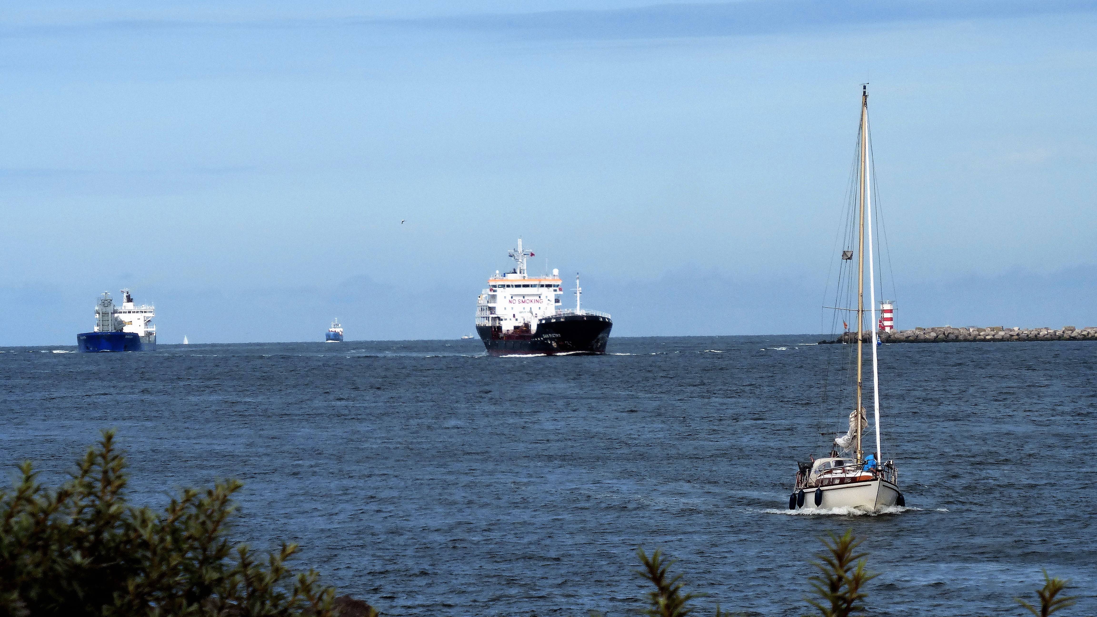Pieren IJmuiden 02-08-17 